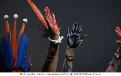 A Decade On: COP30 and the Legacy of the Paris Climate Agreement